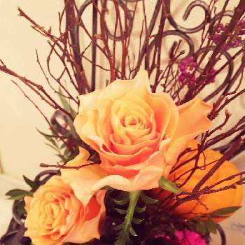 コニカルブラックの画像 by 魔女さん | カーネーションとバラとムラサキシキブとコニカルブラックとカボチャとピスタチアリーフとお花のレッスンにて。とバラのあれこれ