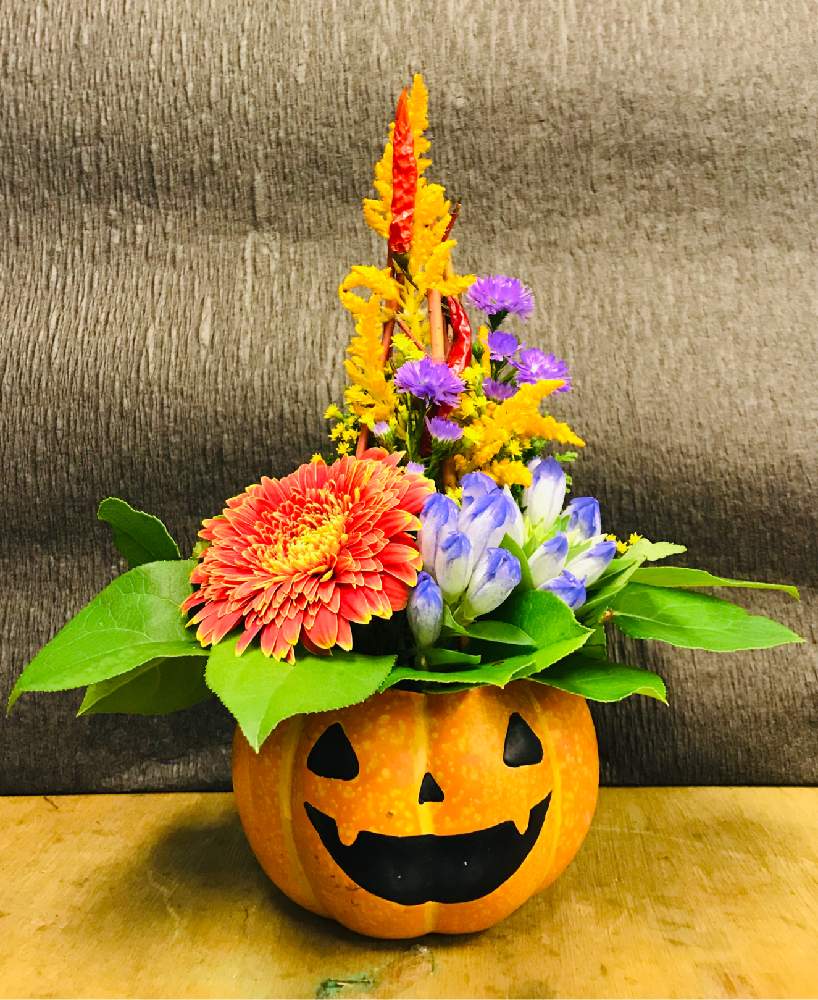 花のある暮らしの投稿画像 By もりこさん ハロウィンとフラワーギフトとハロウィンアレンジ 2019 2019月10月17日 Greensnap グリーンスナップ