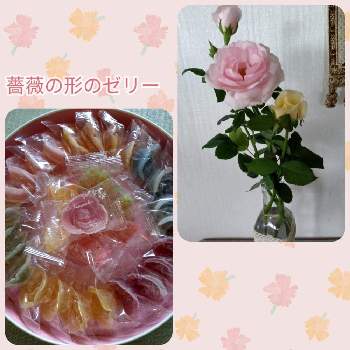 薔薇の形のゼリーの投稿画像一覧 Greensnap グリーンスナップ