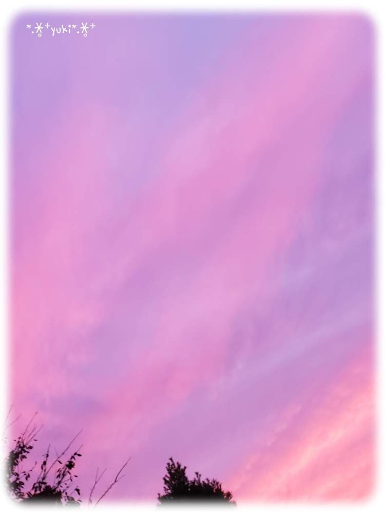 みどりのある暮らしの投稿画像 By 雪 さん 夕焼けと多肉大好きとお気に入り と夕焼け空と島根県と綺麗と多肉女子とタニラーとそらと多肉初心者 19月10月21日 Greensnap グリーンスナップ