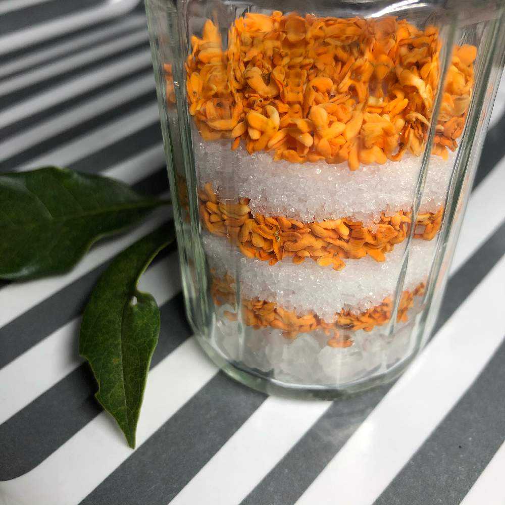 金木犀のモイストポプリ 19 Greensnap グリーンスナップ