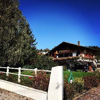 田舎町の投稿画像一覧 Greensnap グリーンスナップ