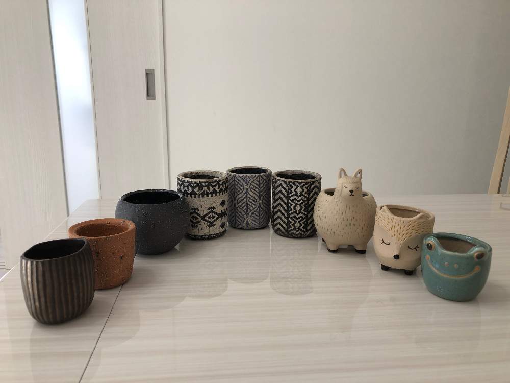 お出かけ先の投稿画像 By みどっちさん 植え替えと東急ハンズと東急ハンズ渋谷店とデザイン鉢と植え替えと東急ハンズと東急ハンズ渋谷店とデザイン鉢 19月10月30日 Greensnap グリーンスナップ Greensnap グリーンスナップ