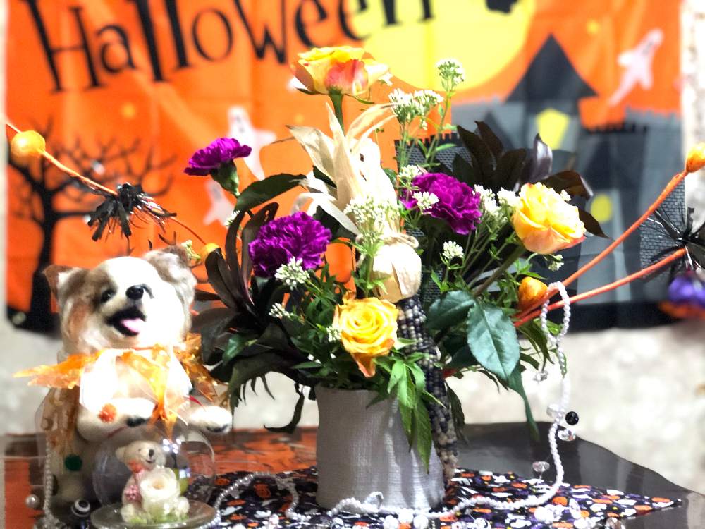 レインボーコーンを種から育ててみた Greensnap グリーンスナップ