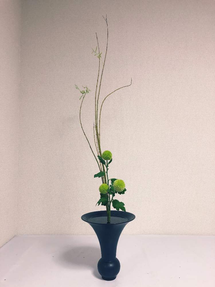 ポンポン菊の投稿画像 By 咲月さん コオリヤナギと池坊と生花 しょうか と生花正風体と二種生け 19月11月2日 Greensnap グリーンスナップ