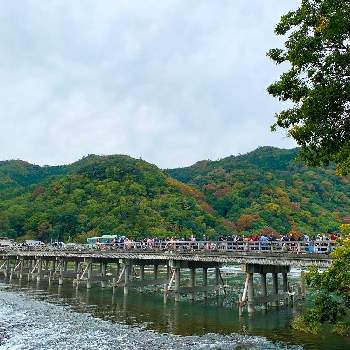 渡月橋の画像 by *hirorin*さん | お出かけ先と渡月橋と京都　嵐山と京都観光と嵐山渡月橋と山のある風景と京都と嵐山と紅葉はまだと京さんぽとそうだ京都、行こうと川のある風景