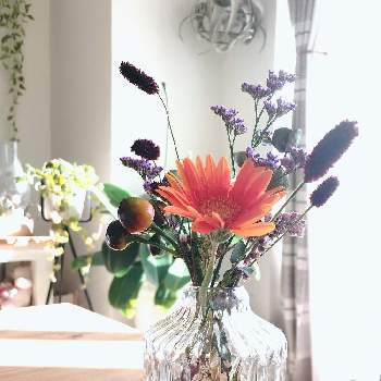 コニカルブラックの画像 by 佐吉さん | 部屋とガーベラとワレモコウとコニカルブラックと花のある暮らしと切り花と切り花を楽しむ