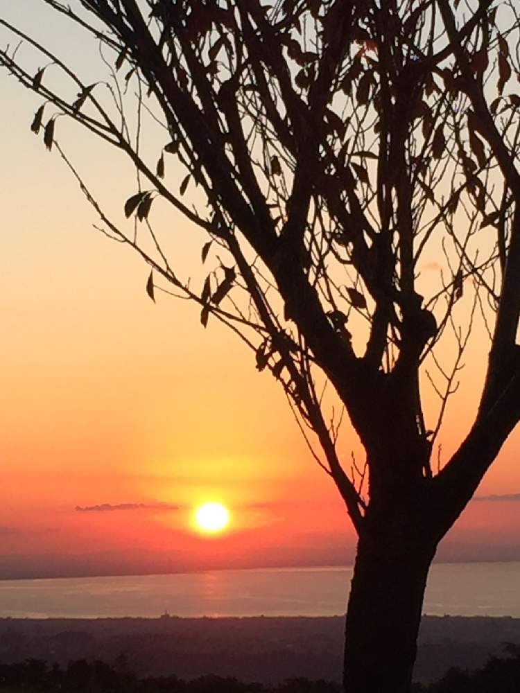 夕日の投稿画像 By バジル さん シルエットと夕陽の丘 19月11月6日 Greensnap グリーンスナップ 夕日の投稿画像 By バジル さん シルエットと夕陽の丘 19月11月6日 Greensnap グリーンスナップ