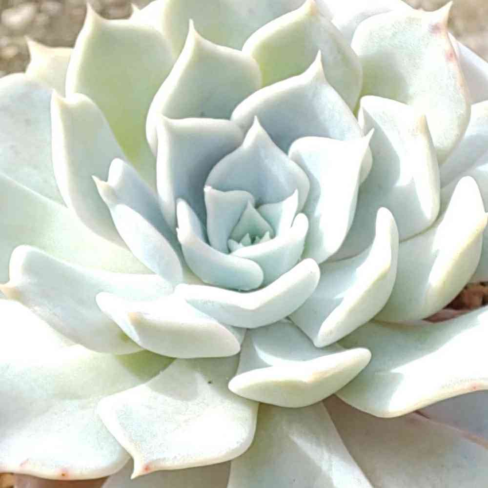 1573036378818_579621_20191106_