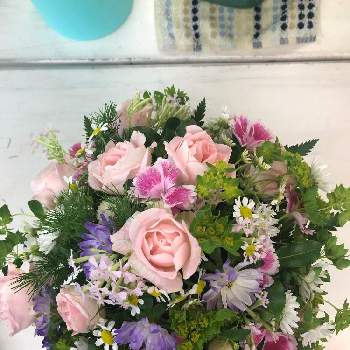元気が出る花 の投稿画像一覧 Greensnap グリーンスナップ 元気が出る花 の投稿画像一覧 Greensnap グリーンスナップ