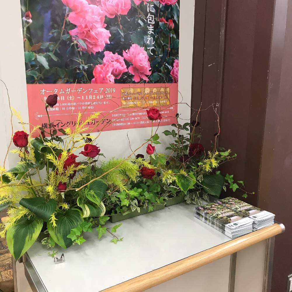 横浜高島屋 139回薔薇展 Greensnap グリーンスナップ