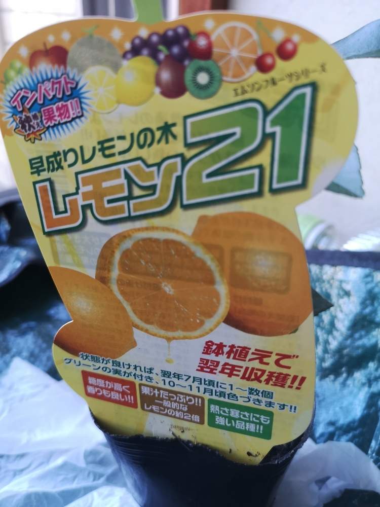 レモン21 Greensnap グリーンスナップ