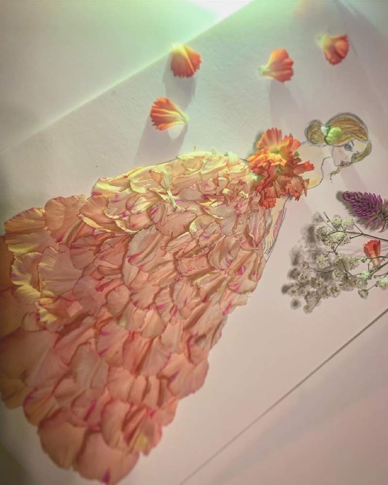 カーネーションの投稿画像 By 清香さん ピンクの花と花びらアートとピンクドレスと花のある暮らしとフラワードレス 19月11月11日 Greensnap グリーンスナップ