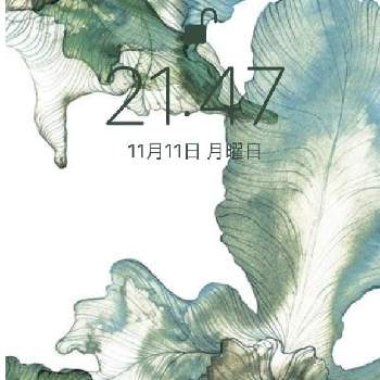 壁紙祭り19秋の投稿画像一覧 Greensnap グリーンスナップ 壁紙祭り19秋の投稿画像一覧 Greensnap グリーンスナップ