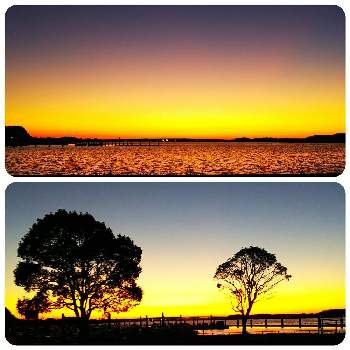 湖の夕焼けの画像 by lucky514さん | お出かけ先と11月と夕焼けと湖の夕焼けとGS映えと日没と夕日とGS日和とマルプーラッキー散歩と夕陽と湖の夕景と夕暮れ時とお散歩