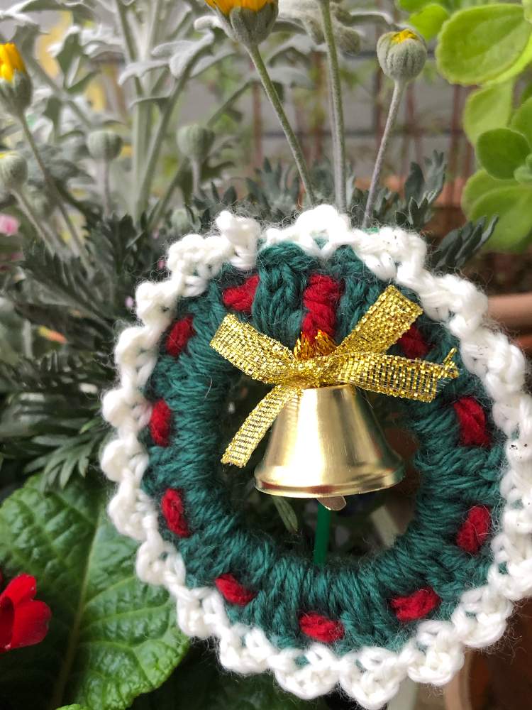 クリスマスリースの投稿画像 By Heathさん クリスマスとピックと初心者ですと編み物と新潟市となないろ 虹色 店名 天寿園内 19月11月14日 Greensnap グリーンスナップ クリスマスリースの投稿画像 By Heathさん クリスマスとピックと初心者ですと編み物と新潟市となないろ 虹色 店名 天寿園内 19月11月14日 Greensnap グリーンスナップ