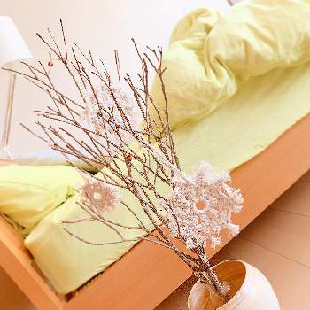 枯れ枝ツリーの投稿画像一覧 Greensnap グリーンスナップ