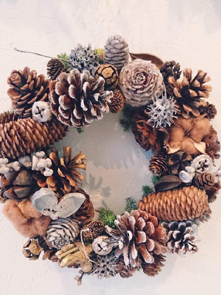 だんだん寒くなってきましたの投稿画像 By エムさん 木の実と気持ちのいい秋と癒し と木の実リースと茶色コットンと花のある暮らし 19月11月16日 Greensnap グリーンスナップ