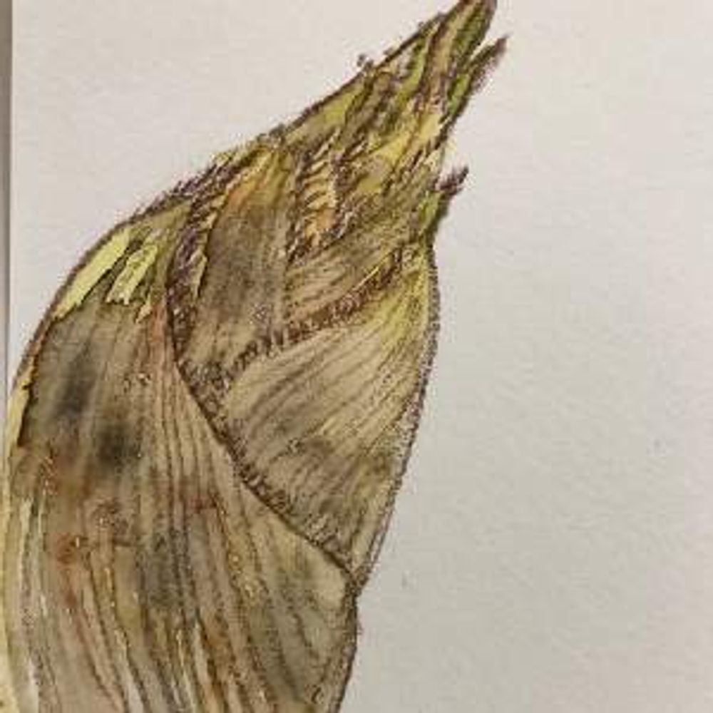 チョパ プロフィール画像