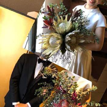 プロテアキングホワイトの画像 by カメキチさん | ウエディングブーケとプロテアキングホワイトとプロテアクレアとウエディングフラワーとシンカルファ・カップブルーメンと結婚式のお花