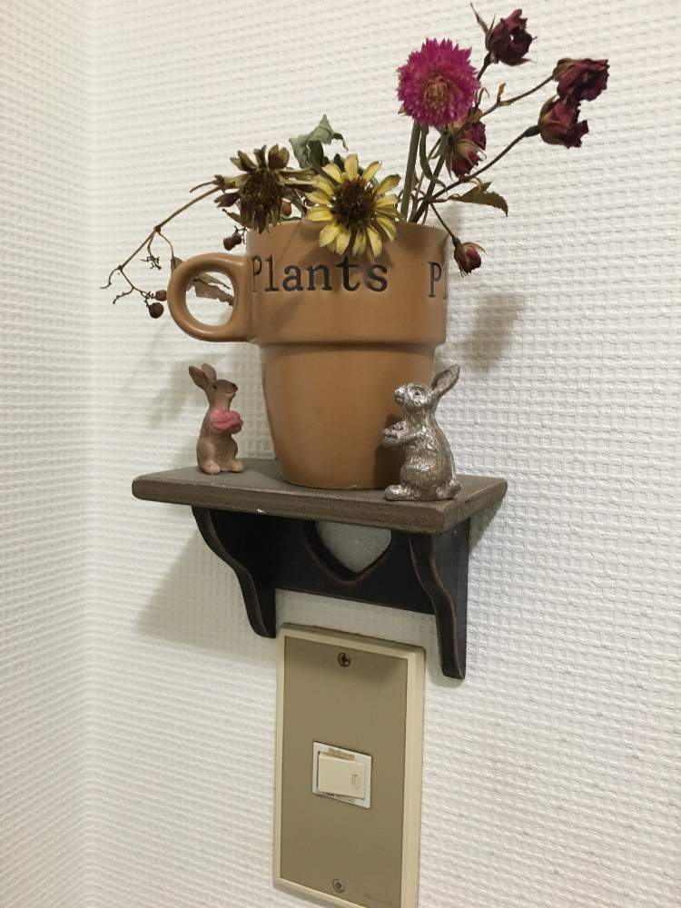 花のある暮らしの投稿画像 By はなはなさん 庭の花を飾る 19月11月日 Greensnap グリーンスナップ