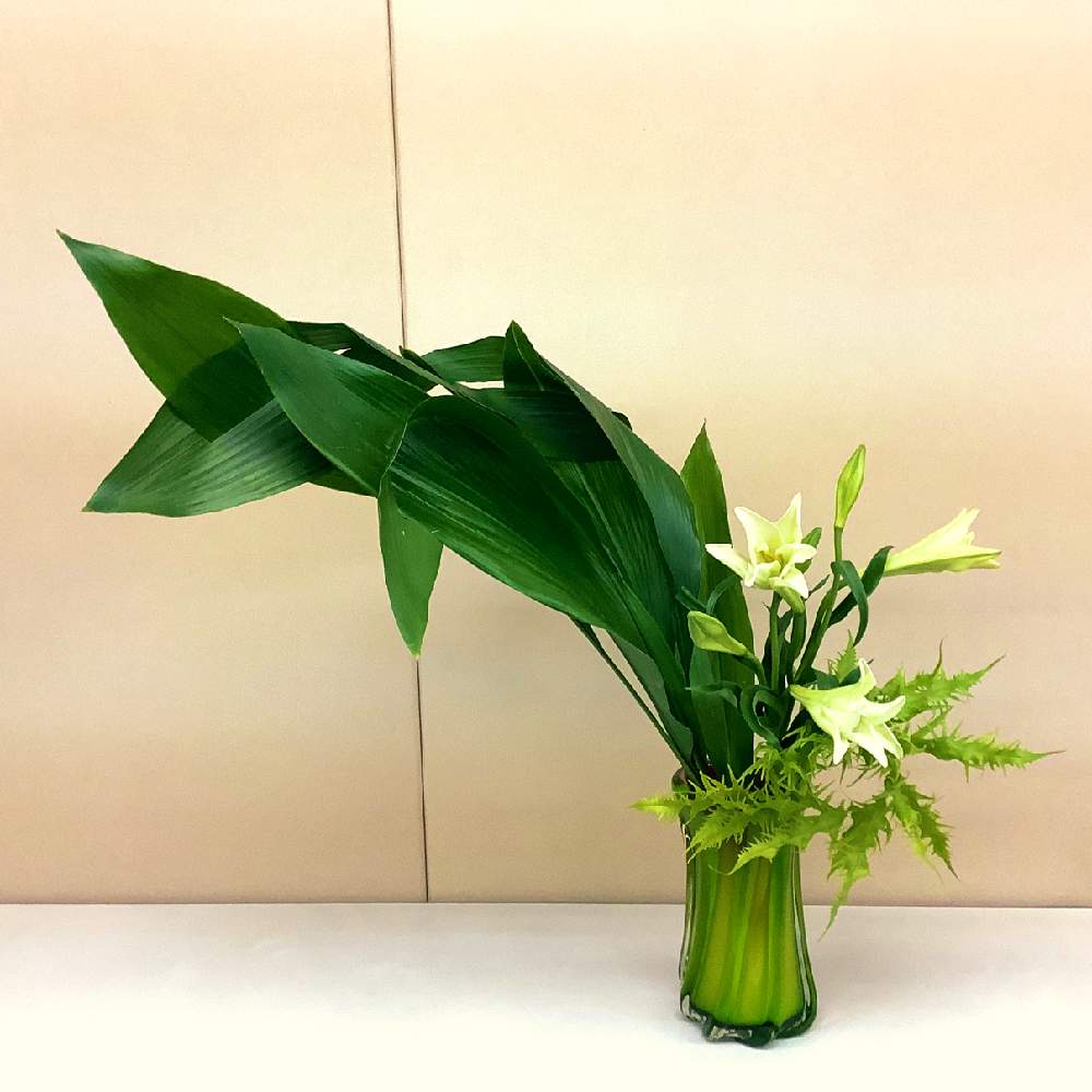 ユリの投稿画像 By Apricot53さん ハランとヒリュウシダの新葉といけばなとフラワーアレンジメントとヒリュウシダと花のある暮らしとテーブルウェアと切り花と生け花 19月11月21日 Greensnap グリーンスナップ