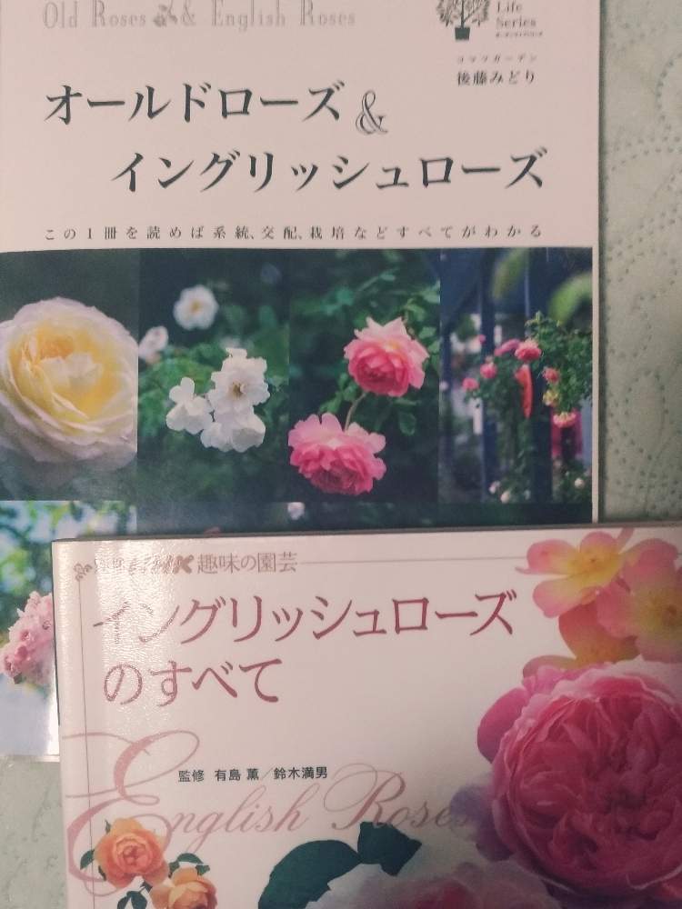 ガーデニングの本の投稿画像 By Collonさん バラ図鑑とガーデニングブックとバラ本とバイブル 19月11月22日 Greensnap グリーンスナップ