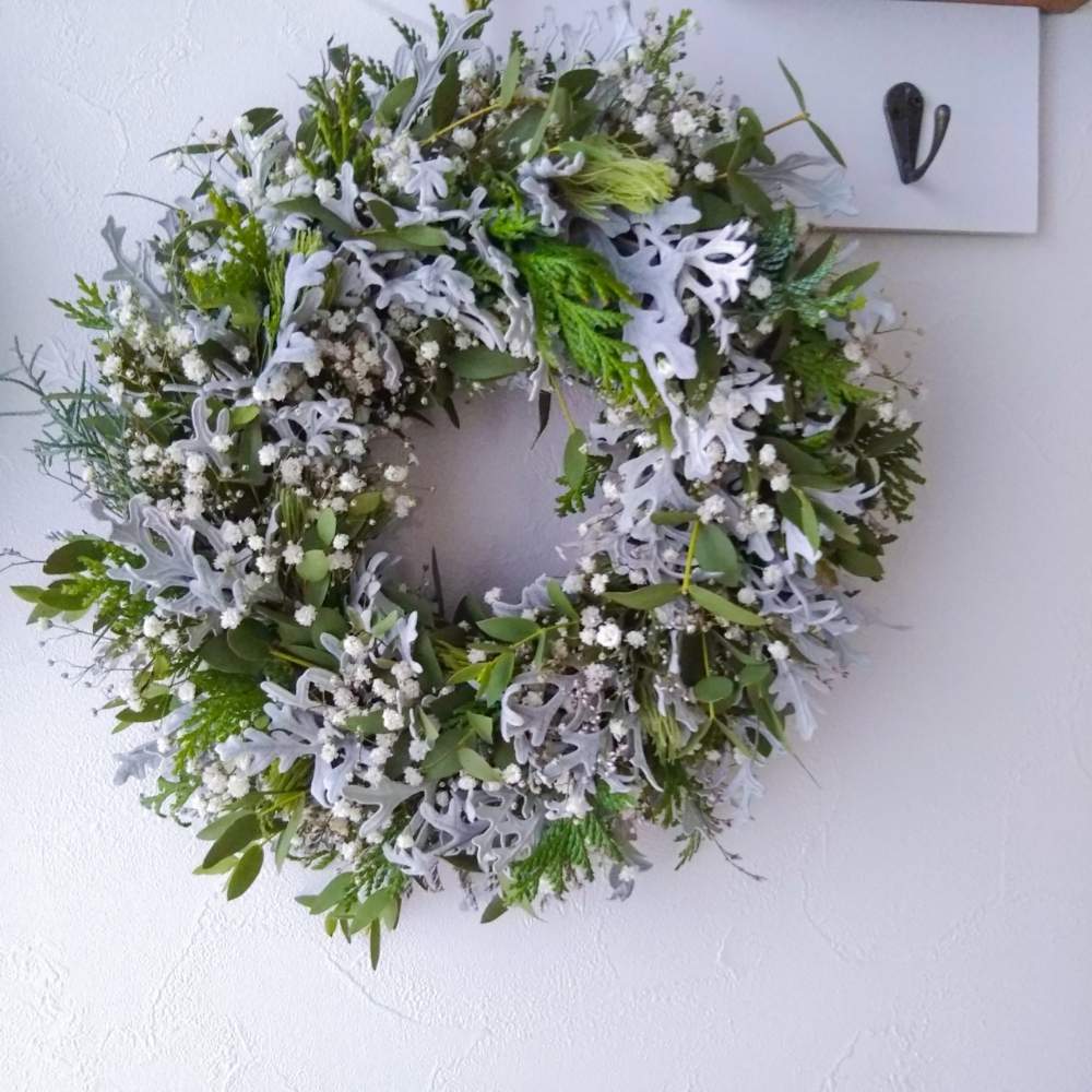 ヒバの投稿画像 By Emmaさん かすみ草とダスティミラーとユーカリ パルブラとウーリーブッシュとナチュラルドライフラワーとドライフラワーと植物で彩るお部屋とクリスマスとドライフラワーのある暮らしとリース とハンドメイドと花のある暮らしとクリスマスリースフォト