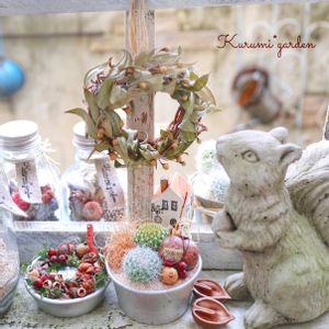 ミルタス,サボテン寄せ植え,ナチュラルドライリース,マートル(ギンバイカ),姫胡桃の画像