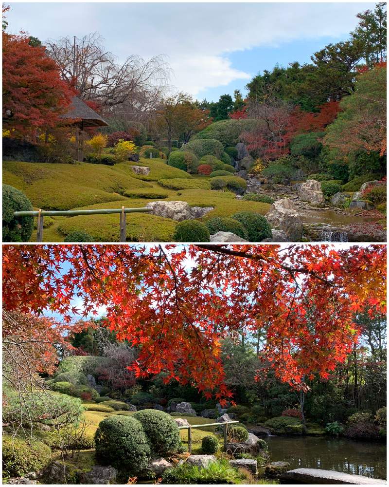 行 こう 京都 そうだ