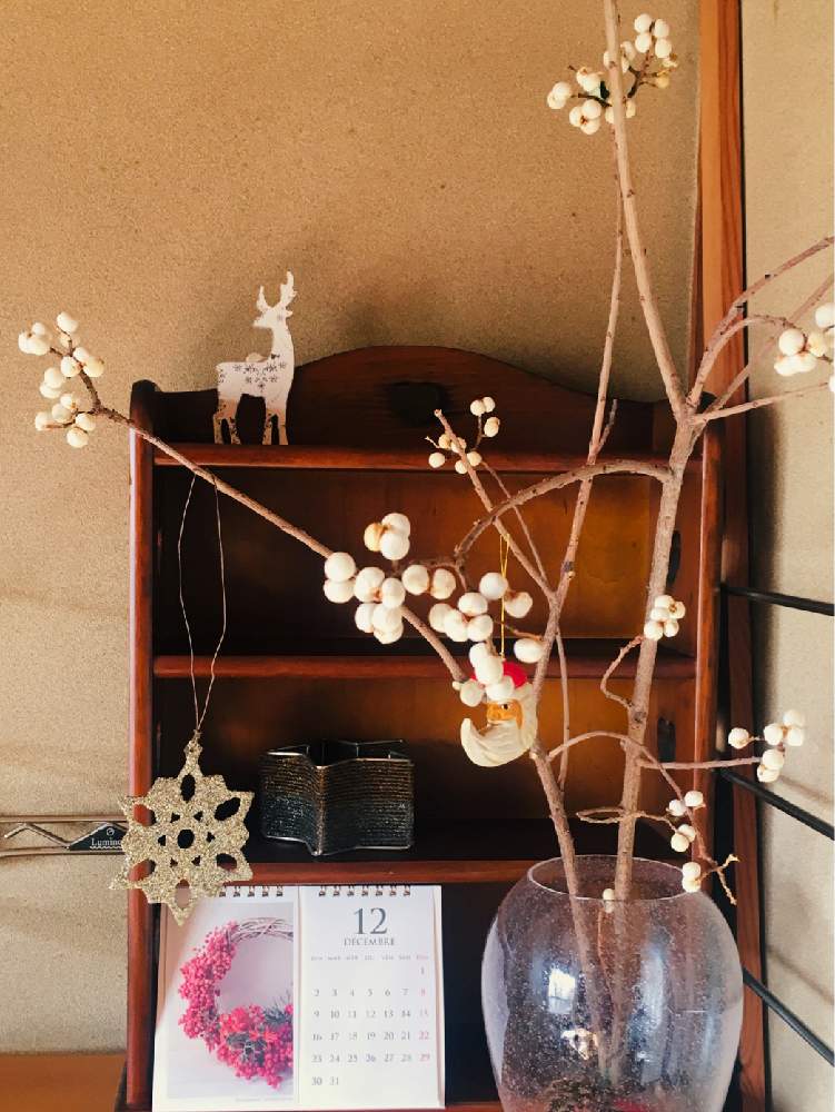 花のある空間の投稿画像 By Makkiさん 観葉植物と枝ものと花のある暮らしと白い実と花が好きと器好きとクリスマス 19月12月2日 Greensnap グリーンスナップ