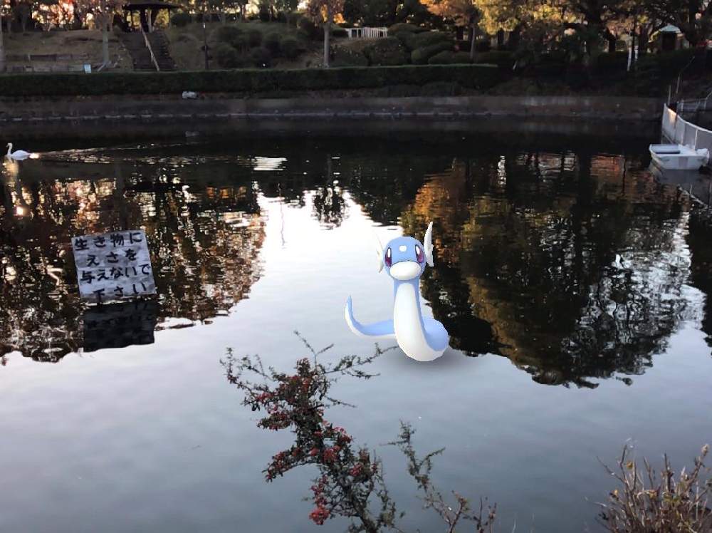 水辺の風景の投稿画像 By みゃあさん 黄葉とスマホ撮影と公園とポケモンgoと夕暮れとお散歩とお出かけ先と水辺の風景と黄葉とスマホ撮影と公園と ポケモンgoと夕暮れとお散歩 19月12月5日 Greensnap グリーンスナップ Greensnap グリーンスナップ