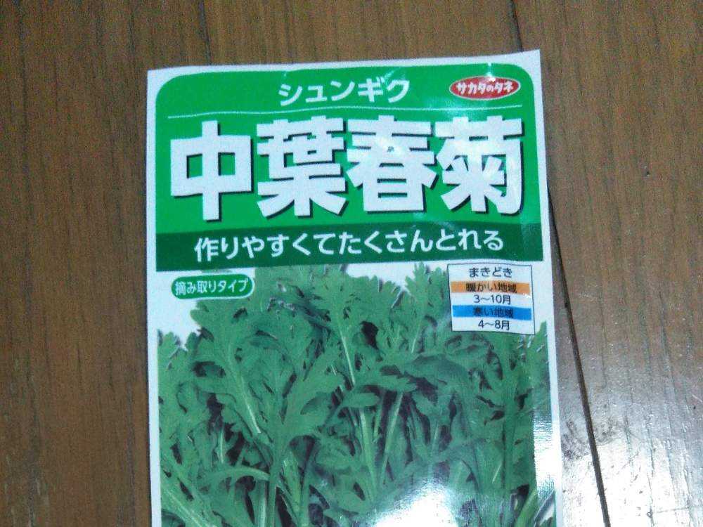 春菊の栽培日記 5月3日 日 追記 Greensnap グリーンスナップ