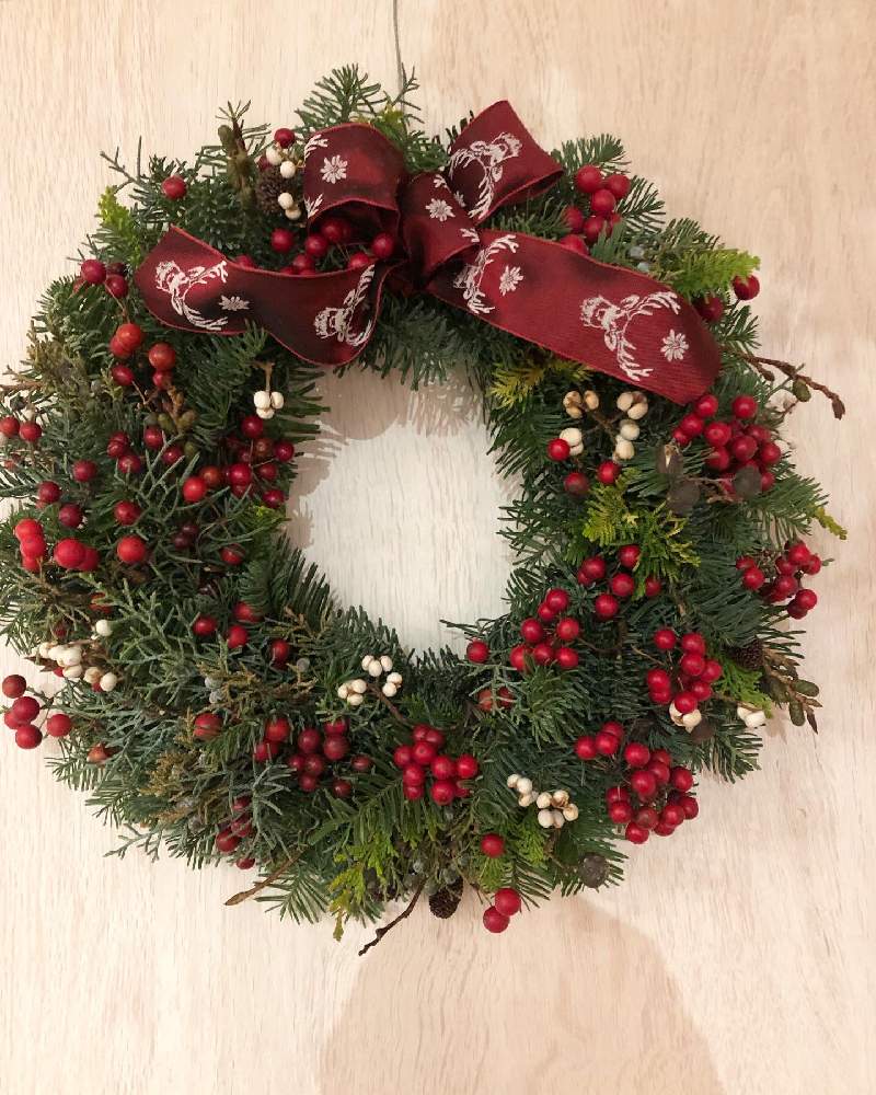 生モミの木の投稿画像 By ひこうき雲さん リースとクリスマスリースフォトコンとフレッシュリースとクリスマスリース 19月12月6日 Greensnap グリーンスナップ