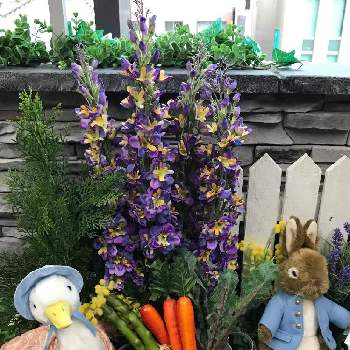 アヒルの画像 by タッカーさん | お出かけ先と紫の花とウサギとやさいとアヒル