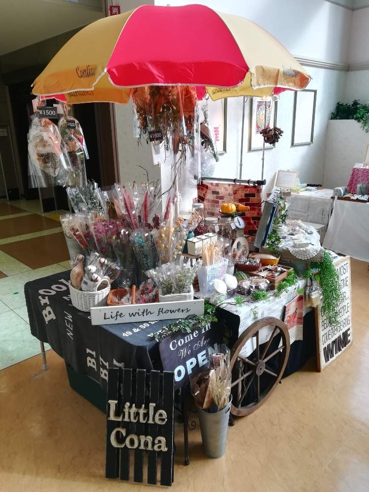 パンパスグラスの投稿画像 By Little Conaさん コットンフラワーとローズヒップとヒオウギとカンガルーポーとドライアンドラとフローレンティナとバンクシア コクシニアとグレビレア ゴールドとプロテアディディとプロテアネリーフォリアとプロテアバービゲリアと