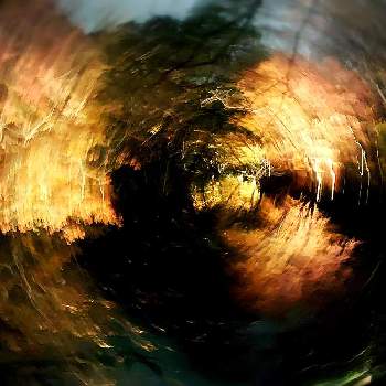 守護神様の投稿画像一覧 Greensnap グリーンスナップ