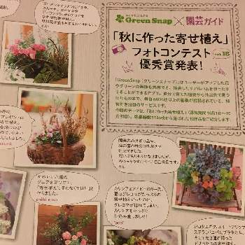 園芸ガイドの画像 by chibi niwaさん | 部屋と花のある暮らしと園芸ガイド