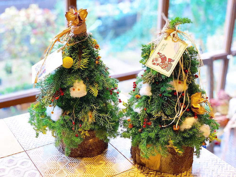 クリスマスツリー の投稿画像 By Poyoさん お花がある暮らしと観葉植物とドライフラワーのある暮らしとお花女子と植物と多肉植物 のある暮らしと今日のお花と季節のお花と多肉女子と植物女子と観葉植物のある暮らしと花のある暮らしとお花のある生活とお花とクリスマス クリスマスツリー の投稿画像 By Poyoさん お花がある暮らしと観葉植物とドライフラワーのある暮らしとお花女子と植物と多肉植物 のある暮らしと今日のお花と季節のお花と多肉女子と植物女子と観葉植物のある暮らしと花のある暮らしとお花のある生活とお花とクリスマス
