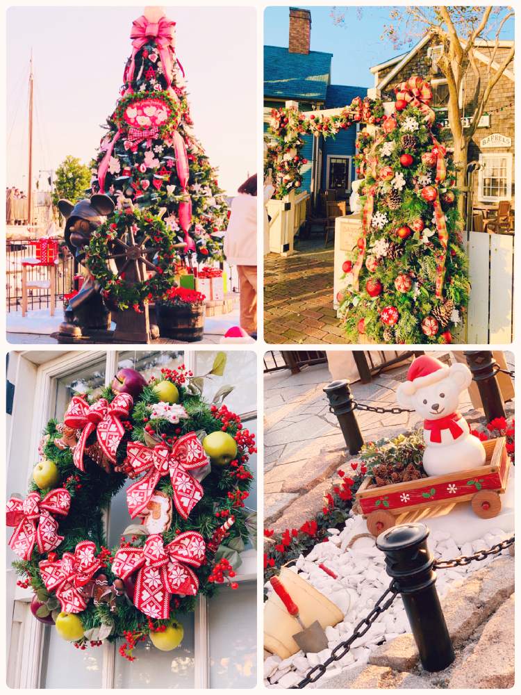 すてき の投稿画像 By Toshieさん 光ってるとgsミニモニ と感動と賑やかと癒されるときれいな色としあわせ とディズニー シーとげんきもらえますとかわいいな とクリスマスリースと綺麗だなぁとクリスマス 19月12月13日 Greensnap グリーンスナップ