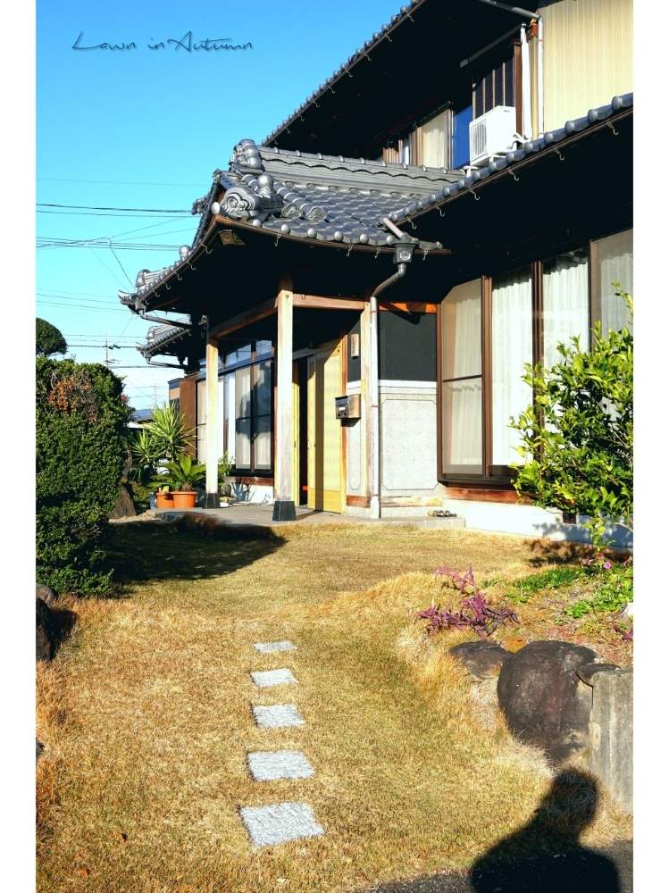 芝生の投稿画像 by toshi722さん｜TM9と庭の片隅でと岐阜県と紅葉 