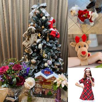 辛い時こそ笑顔の投稿画像一覧 Greensnap グリーンスナップ