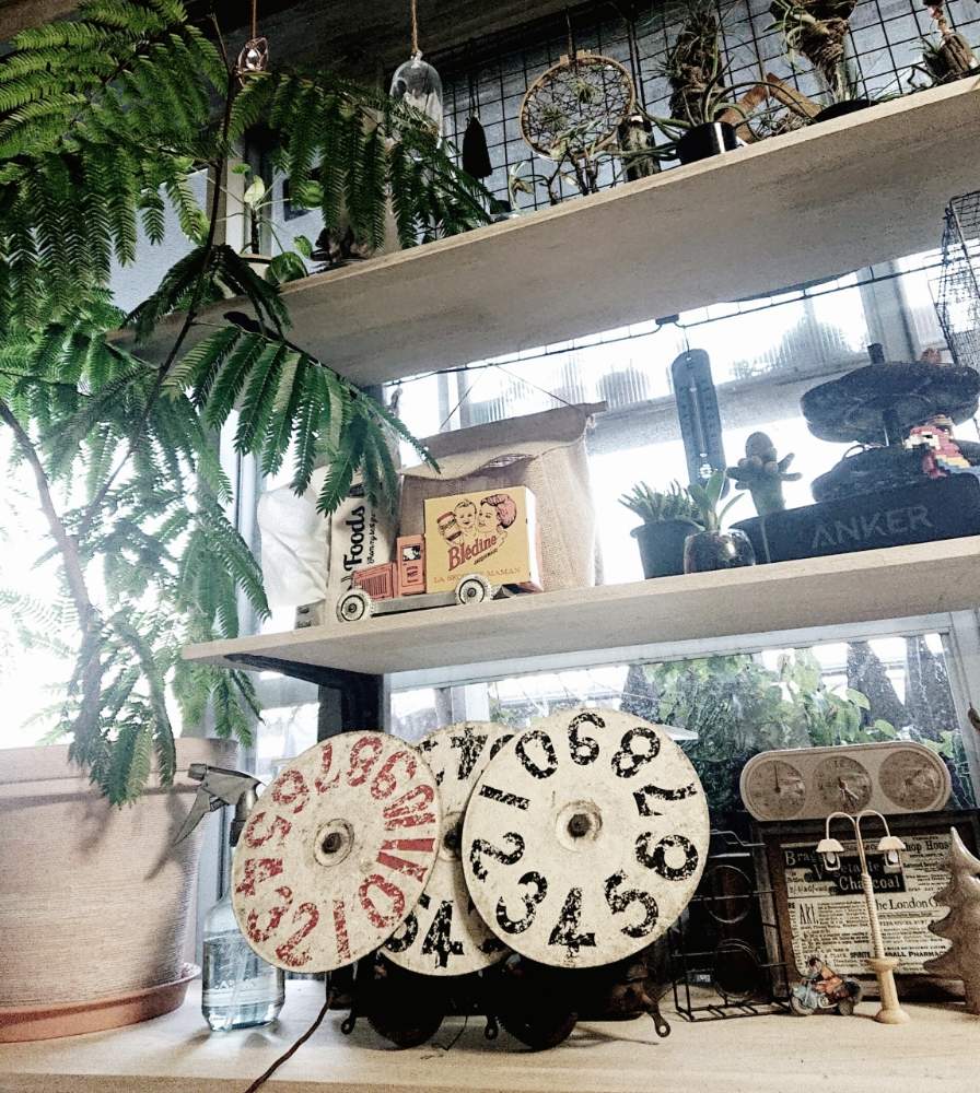 カフェ風の投稿画像 By Okameさん 植物と暮らすと植物のある暮らしと100均と園芸店風ディスプレーと100均エアープランツと植物と雑貨と100均リメイクと植物とno Green No Lifeと植中毒とurbanjungleとdiyと古道具 Greenとグリーンディスプレイとマンションとエアプランツ カフェ風の投稿画像 By Okameさん 植物と暮らすと植物のある暮らしと100均と園芸店風ディスプレーと100均エアープランツと植物と雑貨と100均リメイクと植物とno Green No Lifeと植中毒とurbanjungleとdiyと古道具 Greenとグリーンディスプレイとマンションとエアプランツ