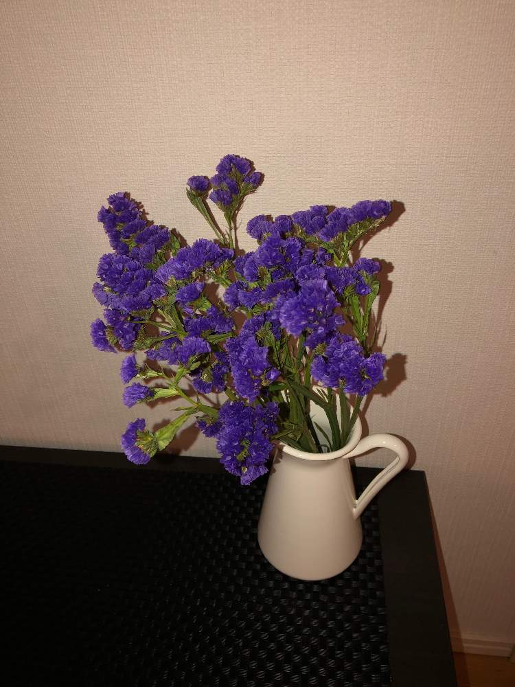 こまきさんの投稿画像 2019月12月15日 Greensnap グリーンスナップ
