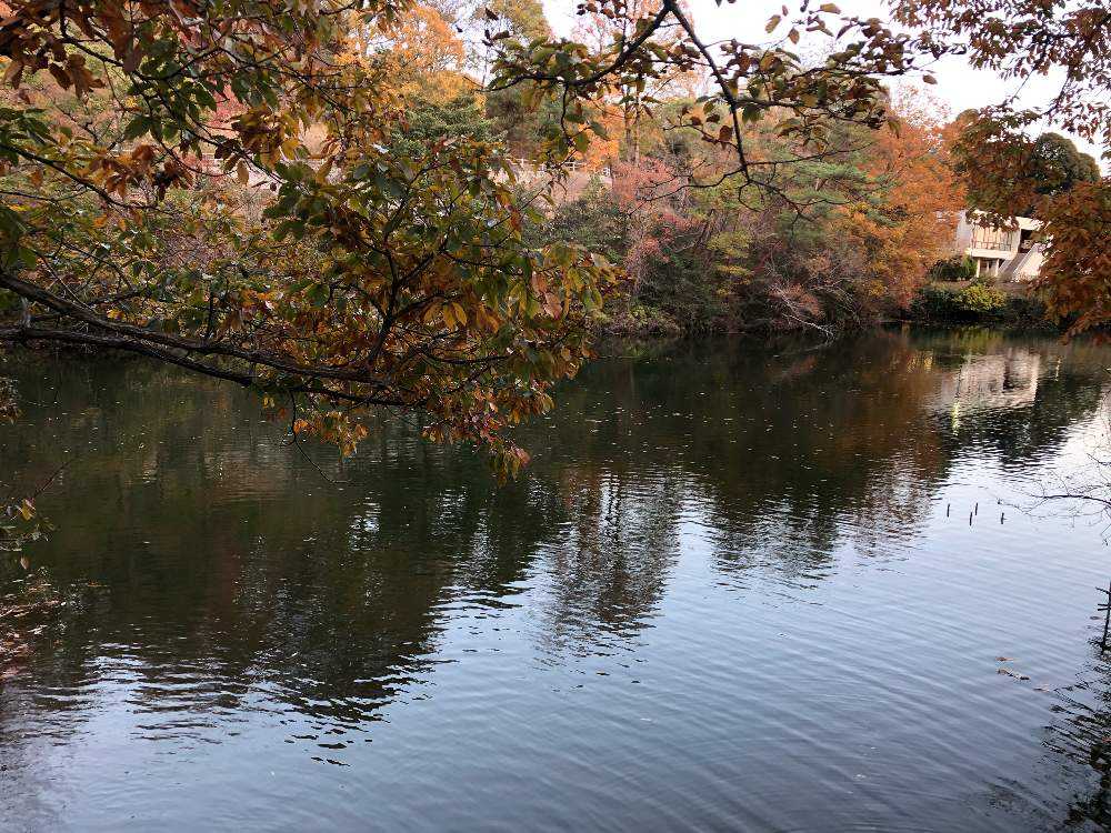 広島市植物公園 季節は秋から冬へ Greensnap グリーンスナップ