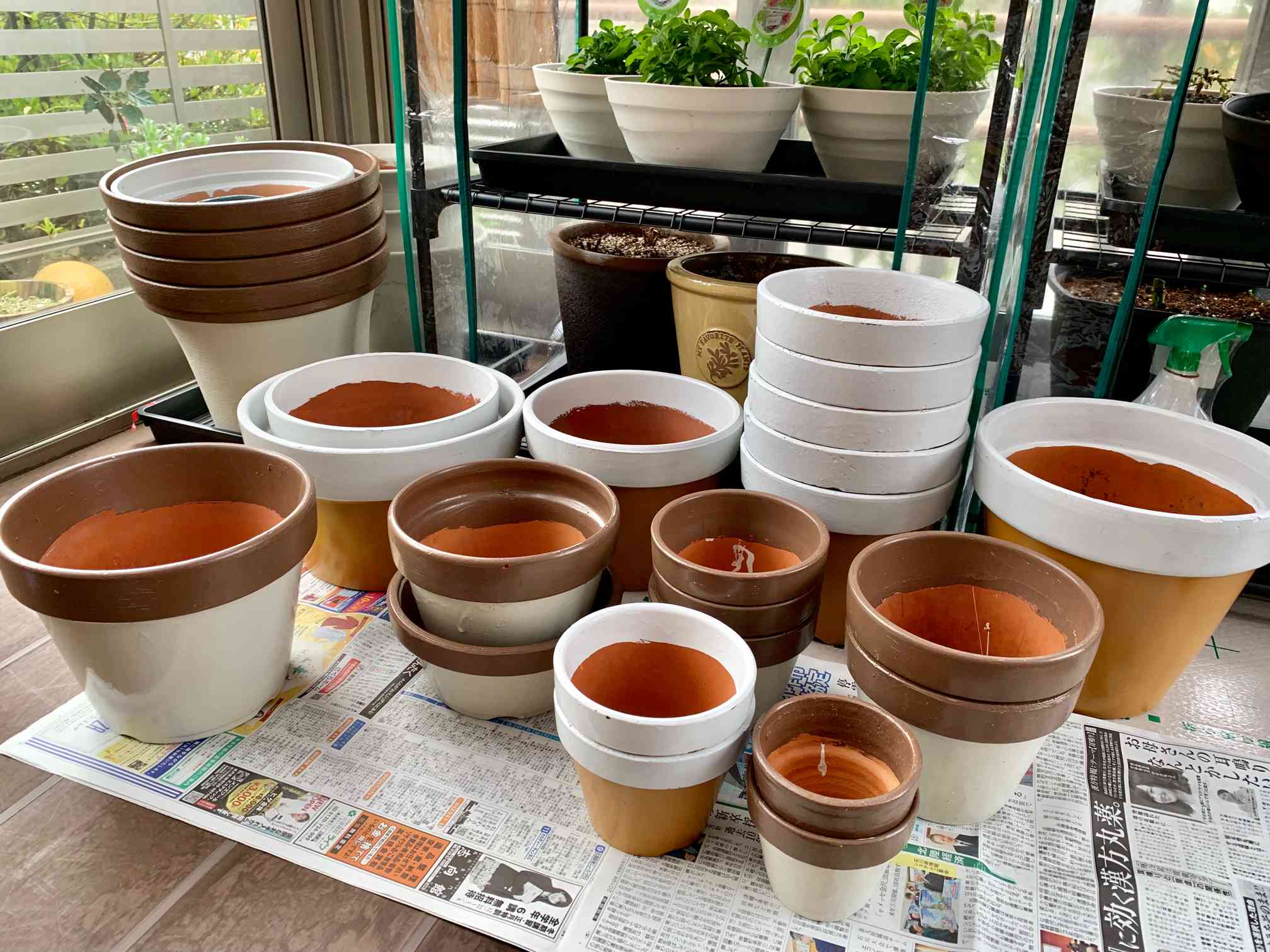 リメイク鉢の誕生日プレゼント｜🍀GreenSnap（グリーンスナップ）