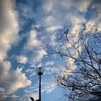 早朝の空の画像 by tamagomen. nara.1964さん | 気温9℃とiPhone11ProMaxと早朝の空と奈良市と奈良県と自然観察日記と曇りのち雨