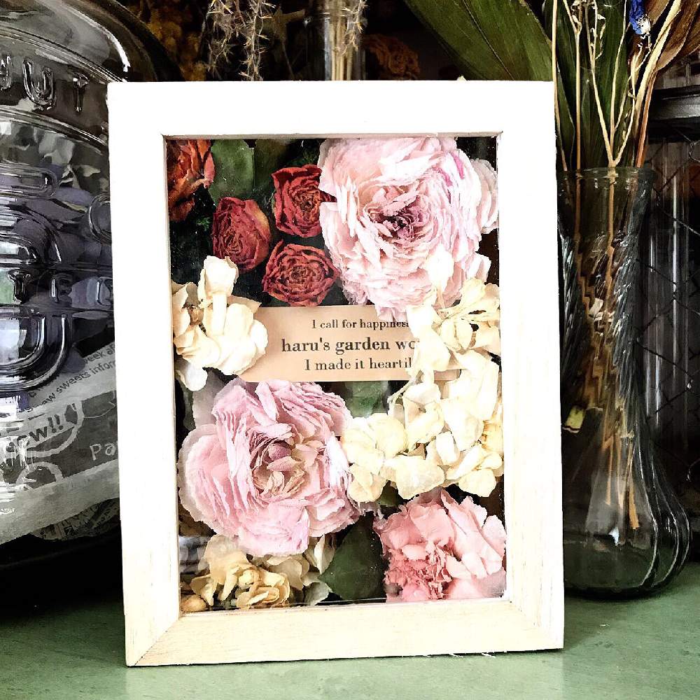 ボタニカルの投稿画像 By Haruさん シリカゲルドライとドライフラワーのある暮らしとボックスフラワーとフラワーアレンジメントと花のある暮らしと花束 19月12月18日 Greensnap グリーンスナップ