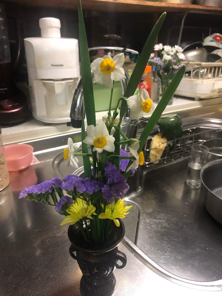 水仙の投稿画像 By ヒデさん 花のある暮らしとキュンキュン乙女倶楽部 19月12月18日 Greensnap グリーンスナップ