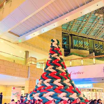 六本木の画像 by チャーさん | お出かけ先とクリスマスツリーとチャーさんのリポートと東京都と東京と季節の 便りとチャーさんの 里山歩きと六本木ヒルズと六本木と年末とクリスマス